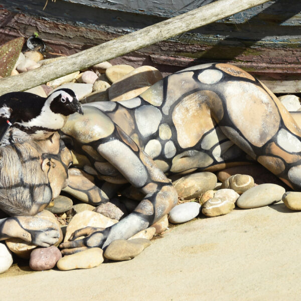 Künstler Jörg Düsterwald hat für das Kunstprojekt ANIMAL ART ein Fotomodell vollständig mit einer Steine-Struktur bemalt. Pinguine sind um die Frau herum.