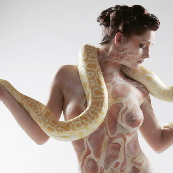 Künstler Jörg Düsterwald hat für das Kunstprojekt ANIMAL ART ein nacktes Fotomodell symbolisch mit einem Schlangenmuster bemalt. Die Frau posiert für ein Fotoshooting in einem Fotostudio. Um sie herum windet sich eine gelbe Schlange.