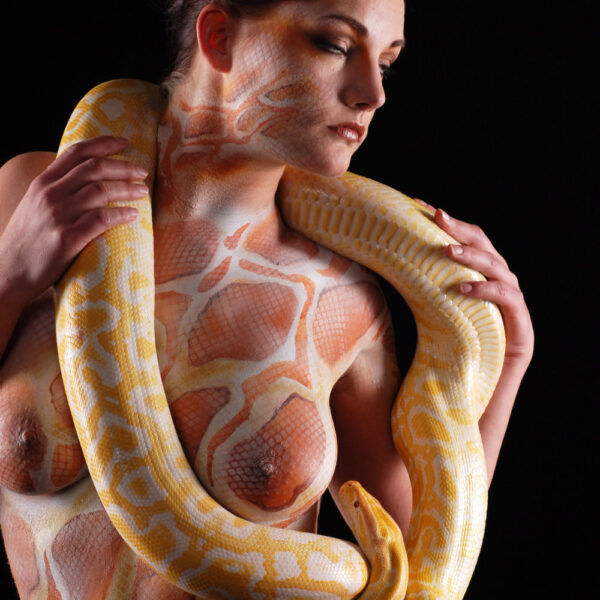 Künstler Jörg Düsterwald hat für das Kunstprojekt ANIMAL ART ein nacktes Fotomodell symbolisch mit einem Schlangenmuster bemalt. Die Frau posiert für ein Fotoshooting in einem Fotostudio. Um sie herum windet sich eine gelbe Schlange.