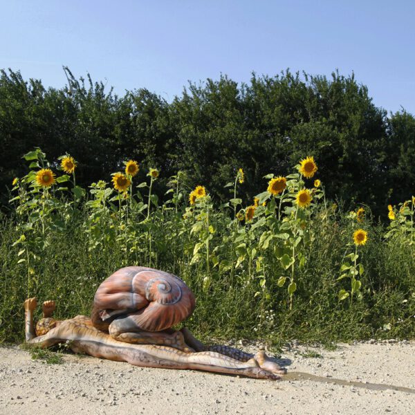 Zwei nackte Fotomodelle wurden von Künstler Jörg Düsterwald wie eine Schnecke bemalt. Eine Frau liegt bäuchlings unten, die andere sitzt zum Schneckenhaus zusammengerollt oben auf ihr. Zusammen bilden Sie eine überdimensionale Schnecke, die durch ein Sonnenblumenfeld kriecht.