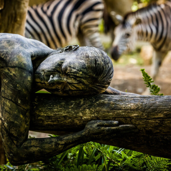Künstler Jörg Düsterwald hat ein nacktes Fotomodell vollständig wie einen Baumstamm bemalt. Die Akteurin liegt auf einem Holzstamm an einem Tiergehege in einem Zoo. Im Hintergrund stehen Zebras.