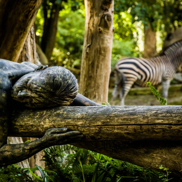 Künstler Jörg Düsterwald hat ein nacktes Fotomodell vollständig wie einen Baumstamm bemalt. Die Akteurin liegt auf einem Holzstamm an einem Tiergehege in einem Zoo. Im Hintergrund stehen Zebras.
