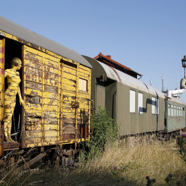 Für das Kunstprojekt DOOR ART ließ sich ein nacktes Fotomodell von Künstler Jörg Düsterwald vollständig so mit Farbe bemalen, dass es genau zur Umgebung von Türen und Toren passt. Die Frau steht in der offenen Tür eines alten, gelben Güterwaggons auf einem verlassenen Bahnhof.