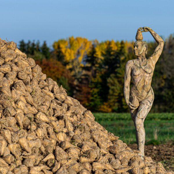 Im Rahmen des Kunstprojektes AGRAR ART hat Bodypaint-Künstler Jörg Düsterwald ein nacktes Modell vollständig so mit Körperfarbe bemalt, dass die Frau zur landwirtschaftlichen Fläche passt, in der sie sich aufhält. Sie ist an einem großen Haufen Zuckerrüben.