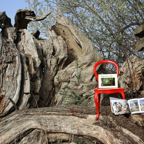 Das Buch BODYPAINTING IN NATURE von Künstler Jörg Düsterwald wird mit einem roten Stuhl an einem Originalplatz des Kunstprojektes NATURE ART gezeigt.