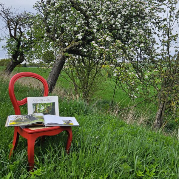 Das Buch BODYPAINTING IN NATURE von Künstler Jörg Düsterwald wird mit einem roten Stuhl an einem Originalplatz des Kunstprojektes NATURE ART gezeigt.