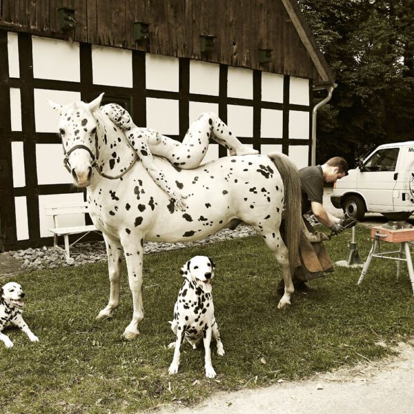 Für das Kunstprojekt WORKING ART, bei dem Berufe mit Bodypaintingmodellen dargestellt werden, hat Künstler Jörg Düsterwald ein Fotomodell vollständig bemalt. Die gestylte Frau sieht genauso weißschwarz-gefleckt aus wie ein Pferd und hält sich zusammen mit einem Hufschmied und Dalmatiner-Hunden an einem Stallgebäude auf.