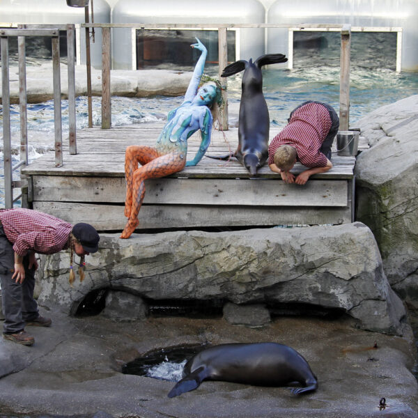 Für das Kunstprojekt WORKING ART, bei dem Berufe mit Bodypaintingmodellen dargestellt werden, hat Künstler Jörg Düsterwald ein Fotomodell vollständig bemalt. Die gestylte Frau sieht aus wie eine Nixe und hält sich zusammen mit Tierpflegern und Seelöwen in einem Zoo auf.