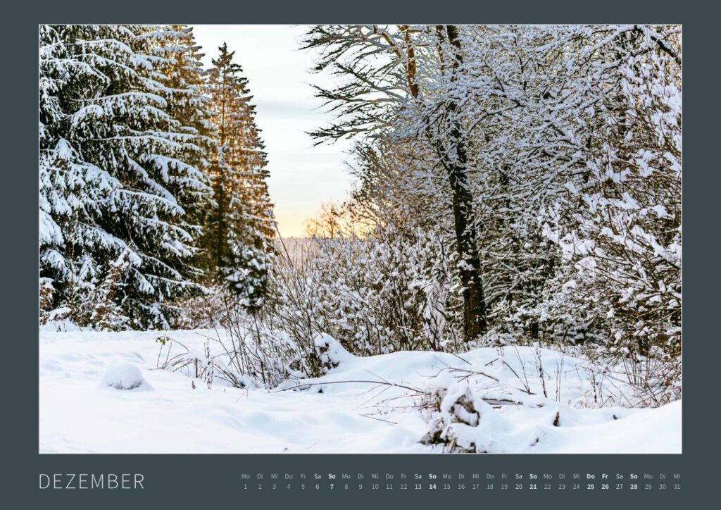 Das Monatsblatt Dezember vom Bodypainting-Kalender NATURE ART 2025 von Künstler Jörg Düsterwald. Ein bemaltes Fotomodell steht zwischen Zweigen in einem schneebedeckten Wald.