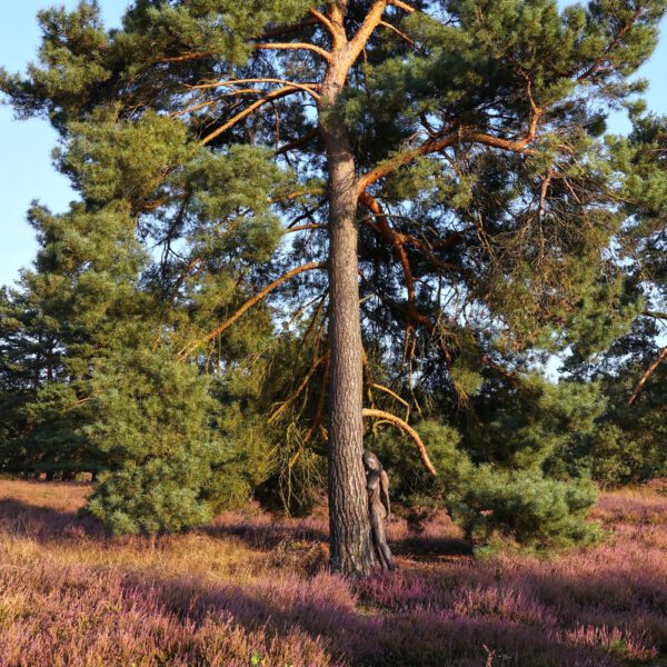 Baum-Motiv in einer Heidelandschaft aus dem Körperkunstprojekt NATURE ART des Künstlers Jörg Düsterwald.