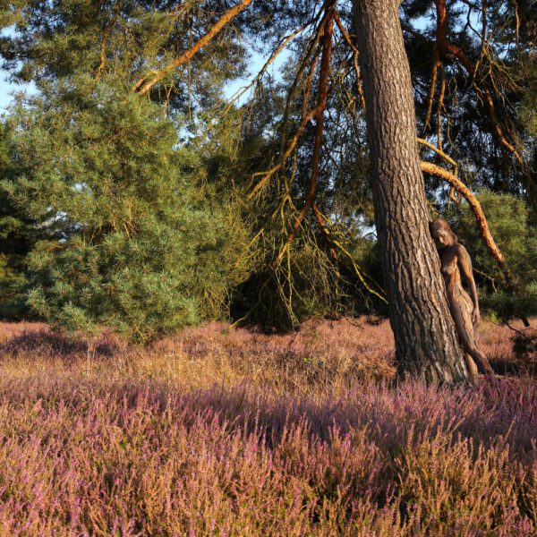 Baum-Motiv in einer Heidelandschaft aus dem Körperkunstprojekt NATURE ART des Künstlers Jörg Düsterwald.