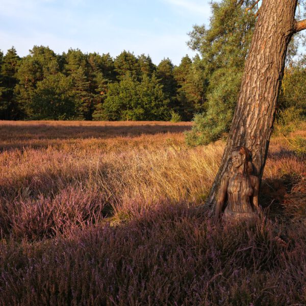 Baum-Motiv in einer Heidelandschaft aus dem Körperkunstprojekt NATURE ART des Künstlers Jörg Düsterwald.